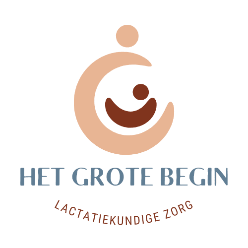 het grote begin logo